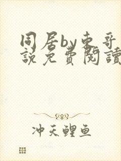 同居by东哥小说免费阅读全文无弹窗