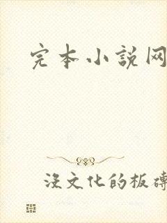完本小说网