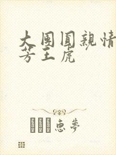 大团圆亲情会王芳王虎封面