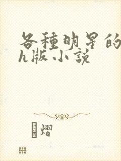 各种明星的综艺h版小说