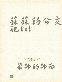 苏苏的公交车日记txt