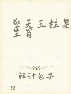擎天玉柱是什么生肖
