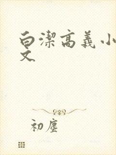 白洁高义小说全文