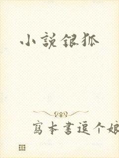 小说银狐