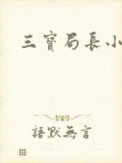 三宝局长小说封面