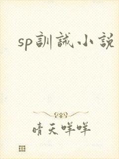 sp训诫小说封面