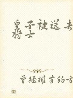 皇子被送去犒劳将士
