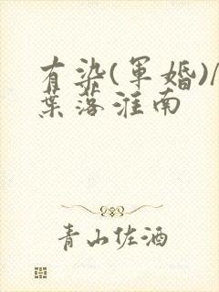 有染(军婚)/叶落淮南封面