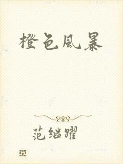 橙色风暴封面