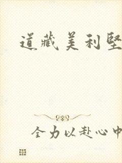 道藏美利坚