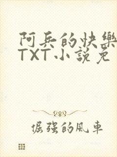 阿兵的快乐生活TXT小说免费阅读全章封面