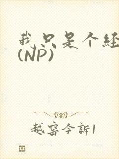 我只是个经纪人(NP)封面