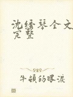 沈绣琴全文阅读完整