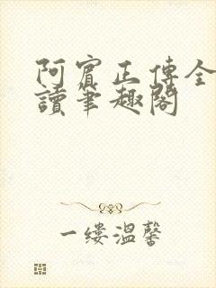 阿宾正传全文阅读笔趣阁