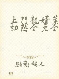 上门龙婿叶辰萧初然全免全集