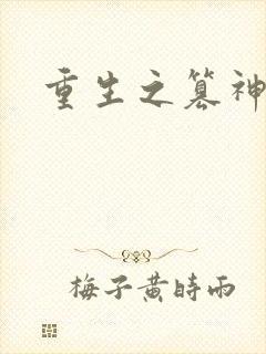 重生之篡神