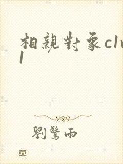 相亲对象c1v1