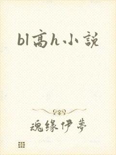 bl高h小说