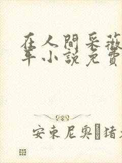 在人间采薇陆三平小说免费阅读