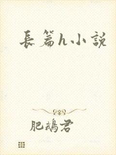 长篇h小说
