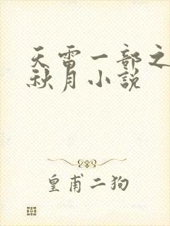 天雷一部之春花秋月小说