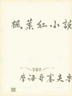 枫叶红小说