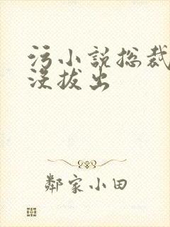 污小说总裁整夜没拔出封面