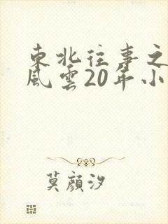 东北往事之黑道风云20年小说