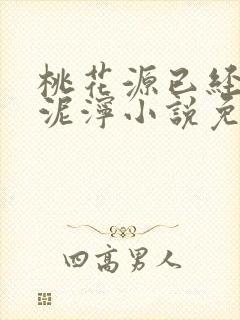桃花源已经一片泥泞小说免费封面