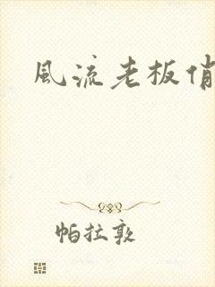 风流老板俏秘书封面