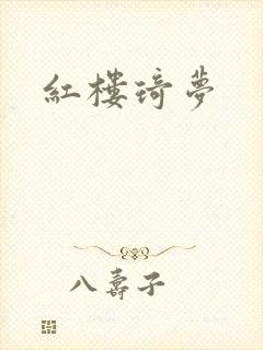 红楼琦梦封面
