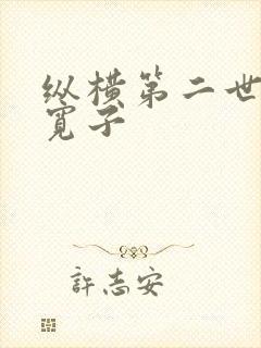 纵横第二世界 宽子