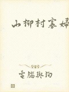 山柳村寡妇情史