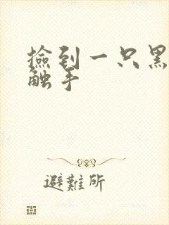 捡到一只黑心小触手