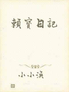 赖宝日记封面