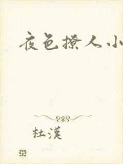 夜色撩人小说