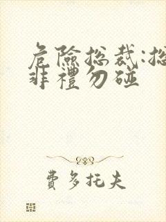 危险总裁:总裁非礼勿碰