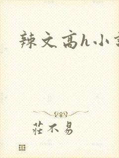 辣文高h小说