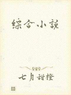 综合小说封面