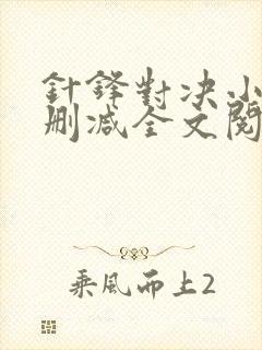 针锋对决小说未删减全文阅读