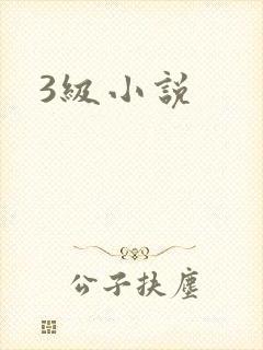 3级小说封面