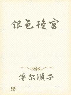 银色后宫