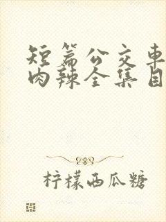 短篇公交车高h肉辣全集目录