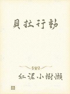 贝拉行动