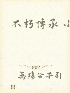 不朽传承 小说