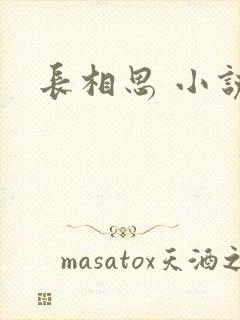 长相思 小说