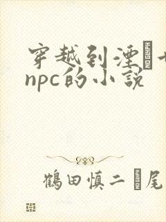 穿越到湮婸世界npc的小说