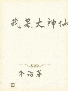 我是大神仙小说