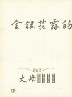 金银花露的小说封面