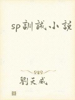 sp训诫小说封面
